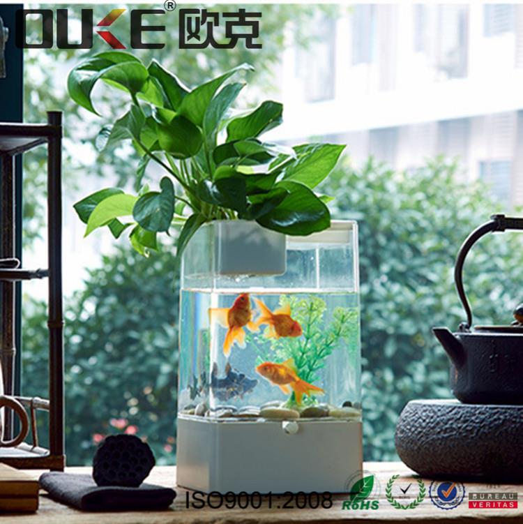 clean acrylic tank fish aquarium.jpg