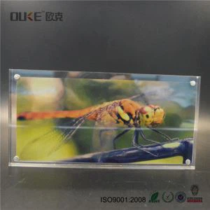 Doppelseitiger 6x8 Zoll klarer Acryl-Bilderrahmen mit Magnete
