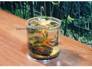 Großhandel Custom Clear Acryl Fisch Tank Kunststoff Aquarium